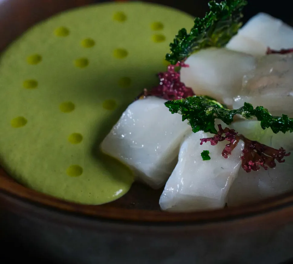 Rodaballo para restaurantes y chefs de Alta Acuicultura Neptura